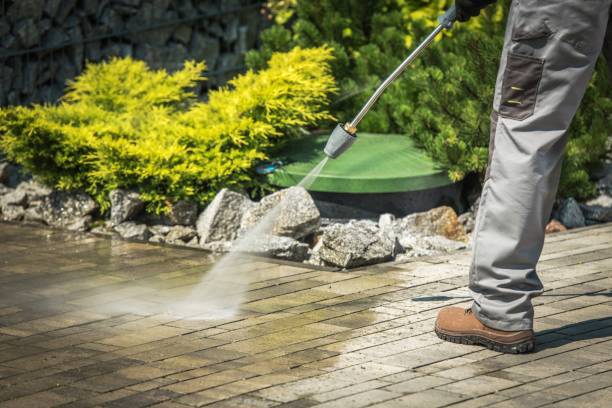 Best Fence Cleaning  in Buhl, MN