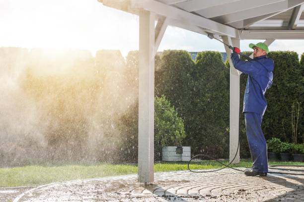 Best Roof Washing  in Buhl, MN