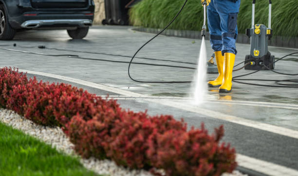 Best Patio and Deck Pressure Washing  in Buhl, MN
